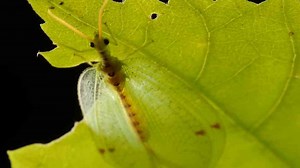 How gear choices decide success in hostile environments