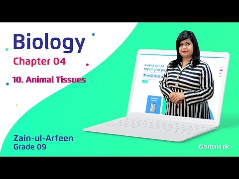 Biology Class 9 | Chapter 4 | Topic 10 | Animal Tissues | in urdu | tutoria.pk