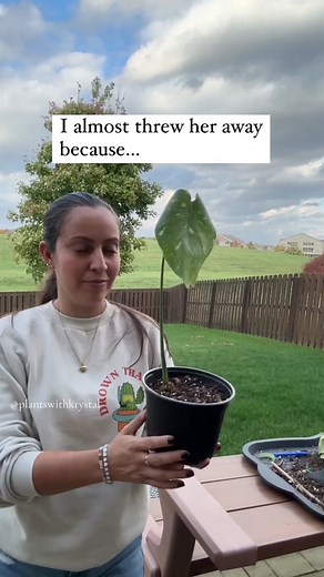 Fluval Stratum: The Ultimate Guide for Growing Aquatic Plants and Propagations