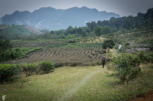 Nghe An Province, Vietnam Travel Guide | Tourism Info for Visiting Nghe An Province, VN