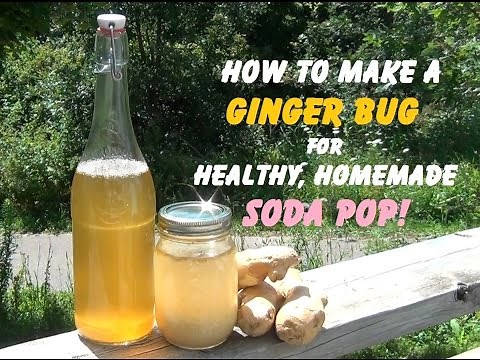Ginger Bug Soda Starter ~ Make Naturally Fermented Soda At Home!