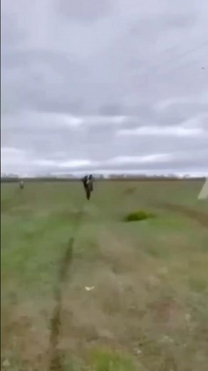 Reggaeton 2025 🌴🔥 “Dominicana” sonando duro en Tidal