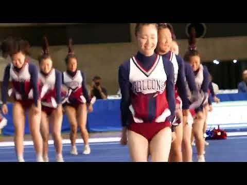 迫力満点！フォーメーションの変化がよく見えるチアリーディングのサイドアングル映像