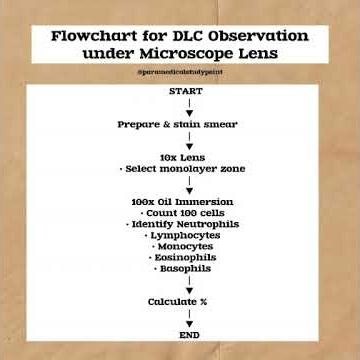 How to Examine Cells under Microscope like EXPERTS, Flowchart