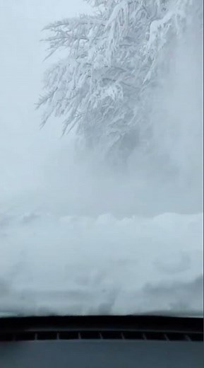 Rekla si mi da ne volis zimu🩵