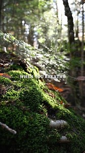 Alan Watts - Real Virtue. Hear the full talk 'Mind Over Mind' on our YT channel. https://youtu.be/lHXisYGjvmM?si=Atbo_0B95amFqahM | Alan Watts