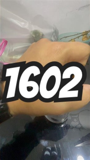 #tutorial ngirup enggau mukak tin bia sebedau ujung minggu 🤭