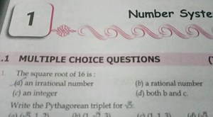 Number Syste .1 MULTIPLE CHOICE QUESTIONS 1. The square root of... | Filo