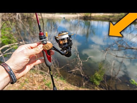 What Will I Catch In This Small Retention Pond?