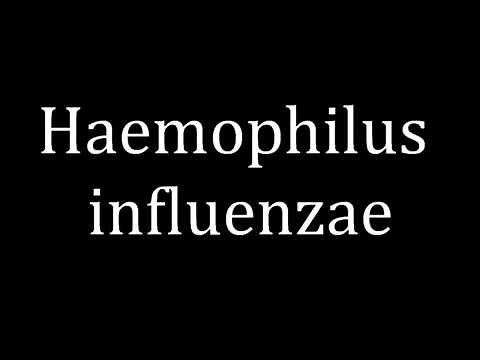 How to pronounce Haemophilus influenzae
