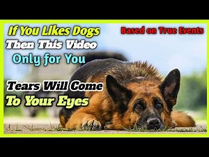 Heartwarming True Story of a Loyal Dog | Palma (2020) Movie Explained