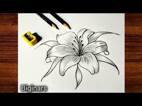 Tutorial flower drawing new model Design drawing 