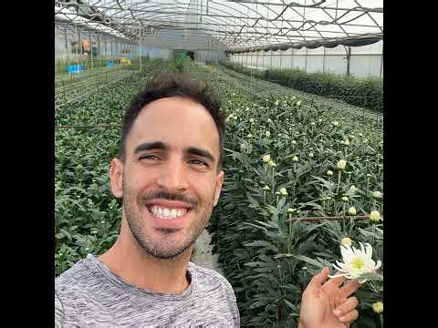 Using data to identify profitable flower crops, biofumigation, and so much more with Bruno Maciel...