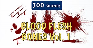 Blood, Flesh, Bones Sound Pack 1 | Audio Sound FX | Unity Asset Store