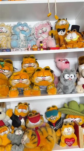 Garfieldoverlord on Instagram: "My favorite garfield plushes :) #garfield #collection"