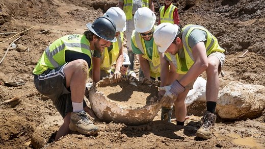 Watch these scientists dig up dinosaur bones