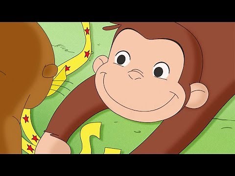 Curious George 🐵 George Counts for 100 🐵Compilation🐵 HD 🐵 Videos For Kids