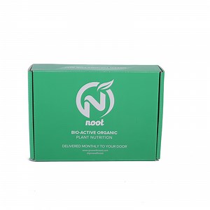 [Hot Item] High Quality Customized Double Sides Printing Packing Box for Shipment