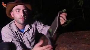 22K views · 387 reactions | Every episode of Coyote Peterson's Brave Wilderness offers an opportunity to learn something new and brings you closer to the most beloved, bizarre, and misunderstood creatures known to man. We're excited to tag along for the wild ride. | Wigwam Socks | Facebook