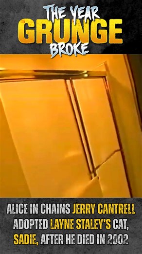 Alice In Chains Jerry Cantrell adopted Layne Staley’s cat, Sadie, after he died in 2002. #aliceinchains #jerrycantrell #laynestaley #grunge #cats #MTV #alternativerock | The YEAR Grunge BROKE