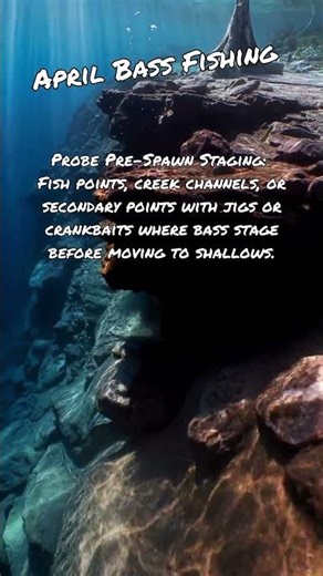 April Bass Fishing Tips #4