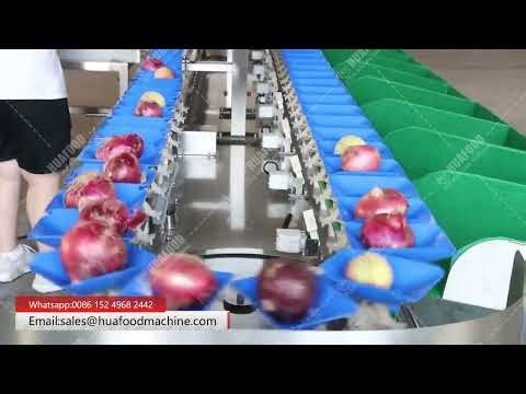 Automatic Onion Vegetable Weight Grading Machine