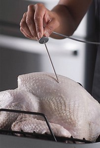 Turkey and Holiday Precision Mode Updates