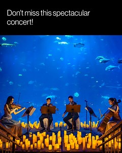 A talented string quartet performing the most magical songs in an intimate, candlelit setting. Be our guest... | Candlelight Concerts by Fever