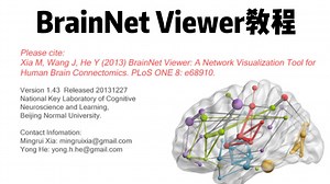 BrainNet Viewer教程