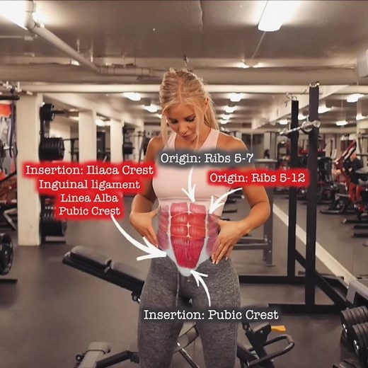 MY ABS WORKOUT ROUTINE 💪 🔥 By @fitnesslady || #reels #reelsvideo #vrral #viralreels #fyp #tranding #trandingreels #fitnessmotivation #challenge #fitnessreels #levelup #bodybuilding #bodybuilding #ifbb #ifbbness #athlete #fitness | Fitness lady