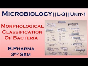 Morphological Classification Of Bacteria || Microbiology ||L-3|Unit-1|| B.pharma 3rd sem || in Hindi