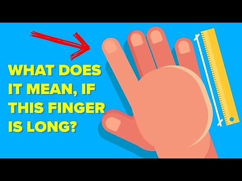 Why Are Your Fingers Different Sizes?