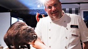 Nutria als Braten, Gulasch oder im Salat