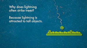 NO place outside is safe during a thunderstorm. That includes under a tree! If you hear thunder, you are likely within striking distance of the storm. When Thunder Roars, Go Indoors. weather.gov/safety/lightning | U.S. National Weather Service (NWS)