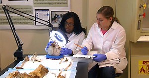 Identifying migrant deaths in U.S. deserts