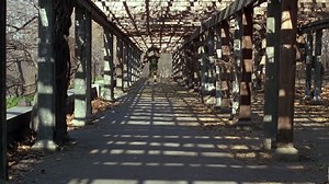 Kramer.Vs..Kramer.1979.1080p.BluRay.x264.AAC5.1