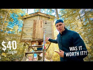 Kids Treehouse Converted to AirBnB Nature Getaway