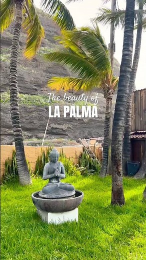Wandering around La Palma 🇮🇨❤️ #lapalma #canaryisland #oceanvibes