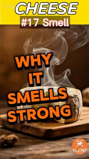🧀 VIDEO 17 — WHY CHEESE SMELLS STRONG