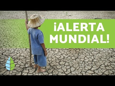Consecuencias del calentamiento global ⚠️ ALERTA MUNDIAL