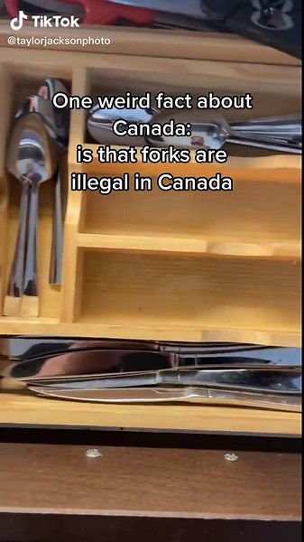 Taylor Jackson Photographer on TikTok