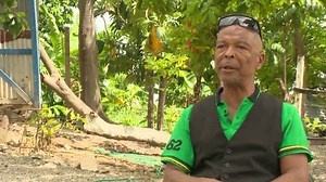 253K views · 4.1K reactions | Born in 1962, a documentary highlighting stories of a different time in Jamaica- COMING SOON to #TVJ. | Television Jamaica | Facebook
