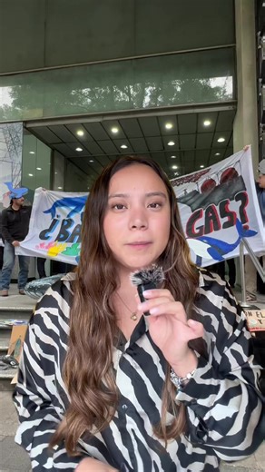 ¡Hay que celebrar este GRAN logro! La cancelación de Vista Pacífico, un proyecto que atentaba contra toda la biodiversidad del Golfo de California 😭😭 y todo esto se ha logrado gracias a la presión que hemos hecho, así que sigamos así ❤️‍🔥❤️‍🔥 ¡Esto demuestra como el poder colectivo es potenteee!! Y que alzar la voz sí sirve de algo. Perooo aun te necesitamos, ayúdanos a enviarle correo a las autoridades y decirles que NO QUEREMOS EL PROYECTO AMIGO GNL. i. Entra al link en esta publicación: h