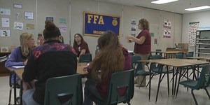 Agriculture education: Struggle to fill open positions