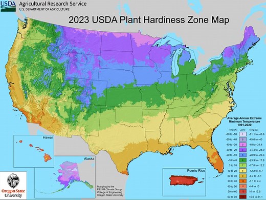 Gardeners, stay cool: Caution urged with new plant zone map