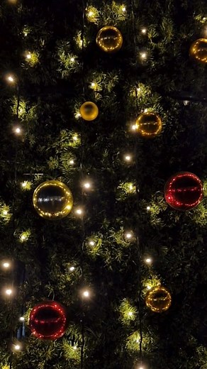 It’s time to shine bright, Everleigh!  Entries are now open for the 2025 Everleigh Christmas Glows House Decorating Competition. Each year, our community lights up with dazzling displays that spread joy, creativity, and cheer across Greenbank. Enter by Sunday December 7 for your chance to win a $250 EFTPOS gift card and take part in this growing community tradition: https://loom.ly/zZVbj28 | Everleigh Mirvac | Facebook