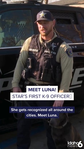 🐶K‑9 Luna is Star Police’s first police dog, partnered with Officer Samuel Goldstein on the Problem Oriented Policing team. By Idaho law, it's required that canine teams complete a 160-hour training course and regular re-certification with strict pass-or-fail standards. Want to learn more about Luna’s day‑to‑day? Visit the comments below!👇 #IdahoNews6 #NeighborhoodNews #StarIdaho | Idaho News 6