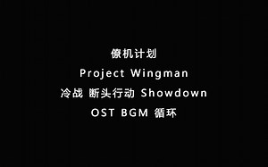 僚机计划 Project Wingman 冷战 断头行动 Showdown