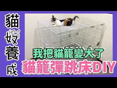 【鏟屎官養成計劃 #12】兩種材料 簡單擴編貓籠 我把貓籠變大了 貓籠彈跳床DIY｜寵物籠 貓籠 狗籠｜烏骨肌