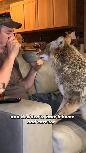 #animals #wolf #friendship #dog #fyp | Loveable Stories